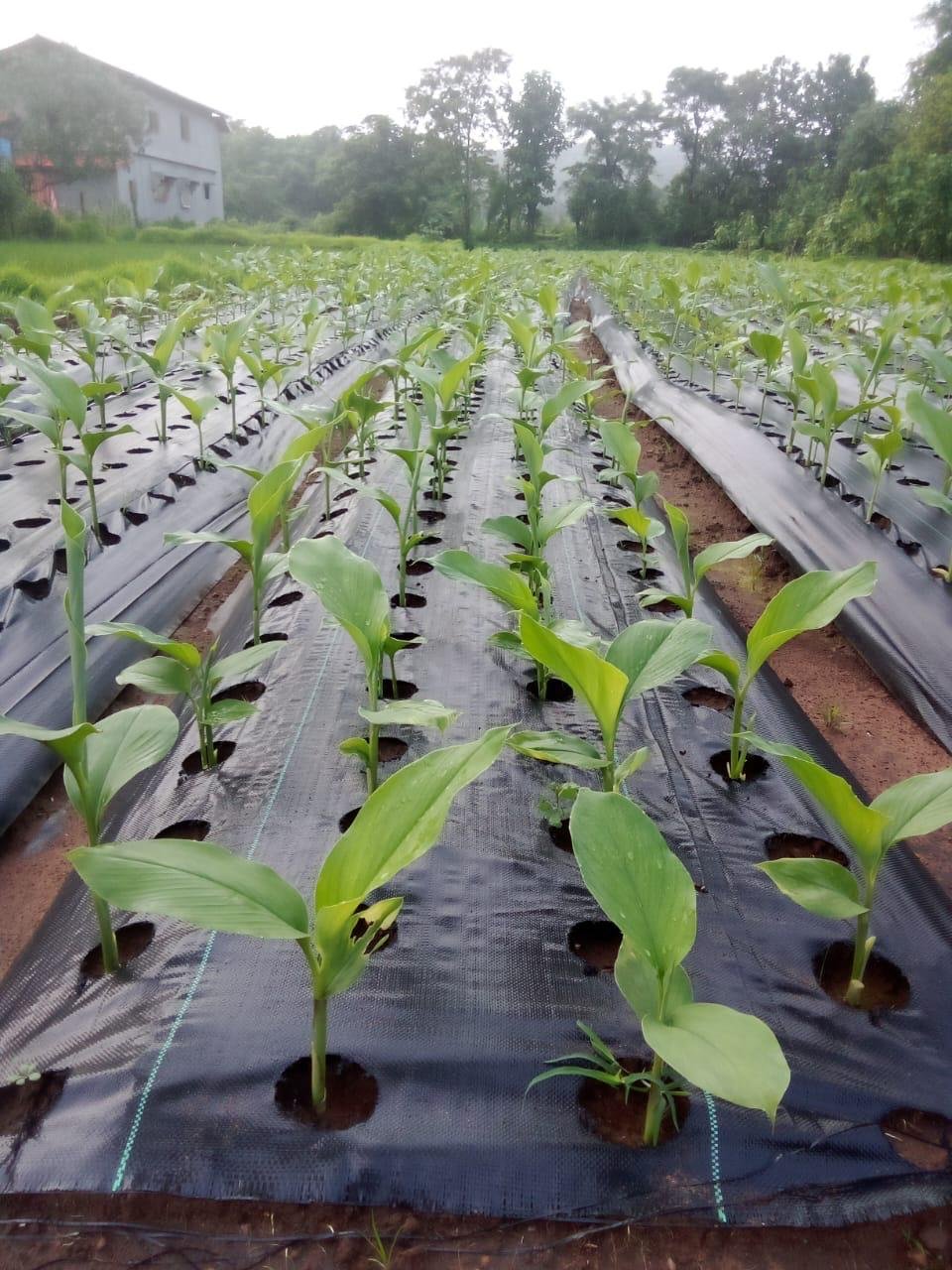 WhatsApp Image 2025-12-10 at 10.22.30 AM (1)